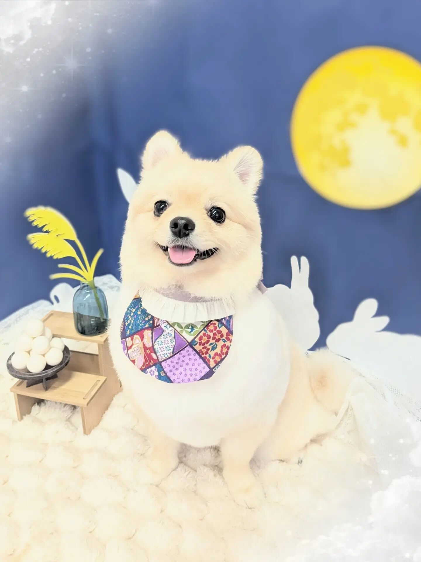 - ̗̀ ご来店ありがとうございます ̖́-