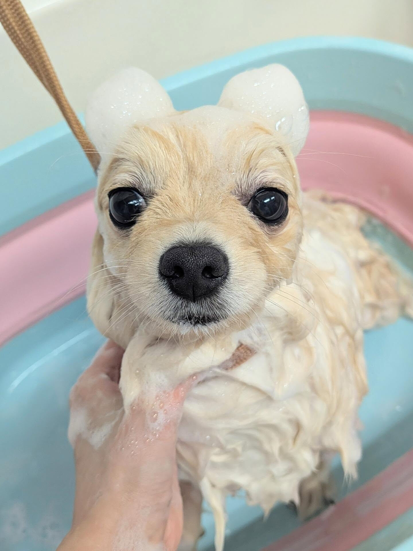- ̗̀ ご来店ありがとうございます ̖́-