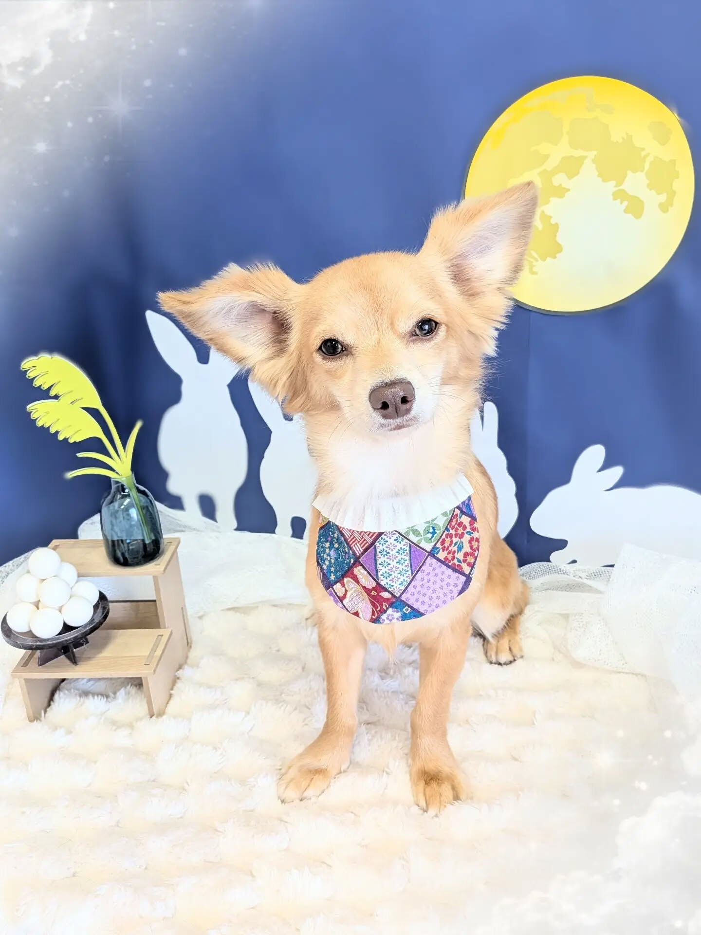 - ̗̀ ご来店ありがとうございます ̖́-