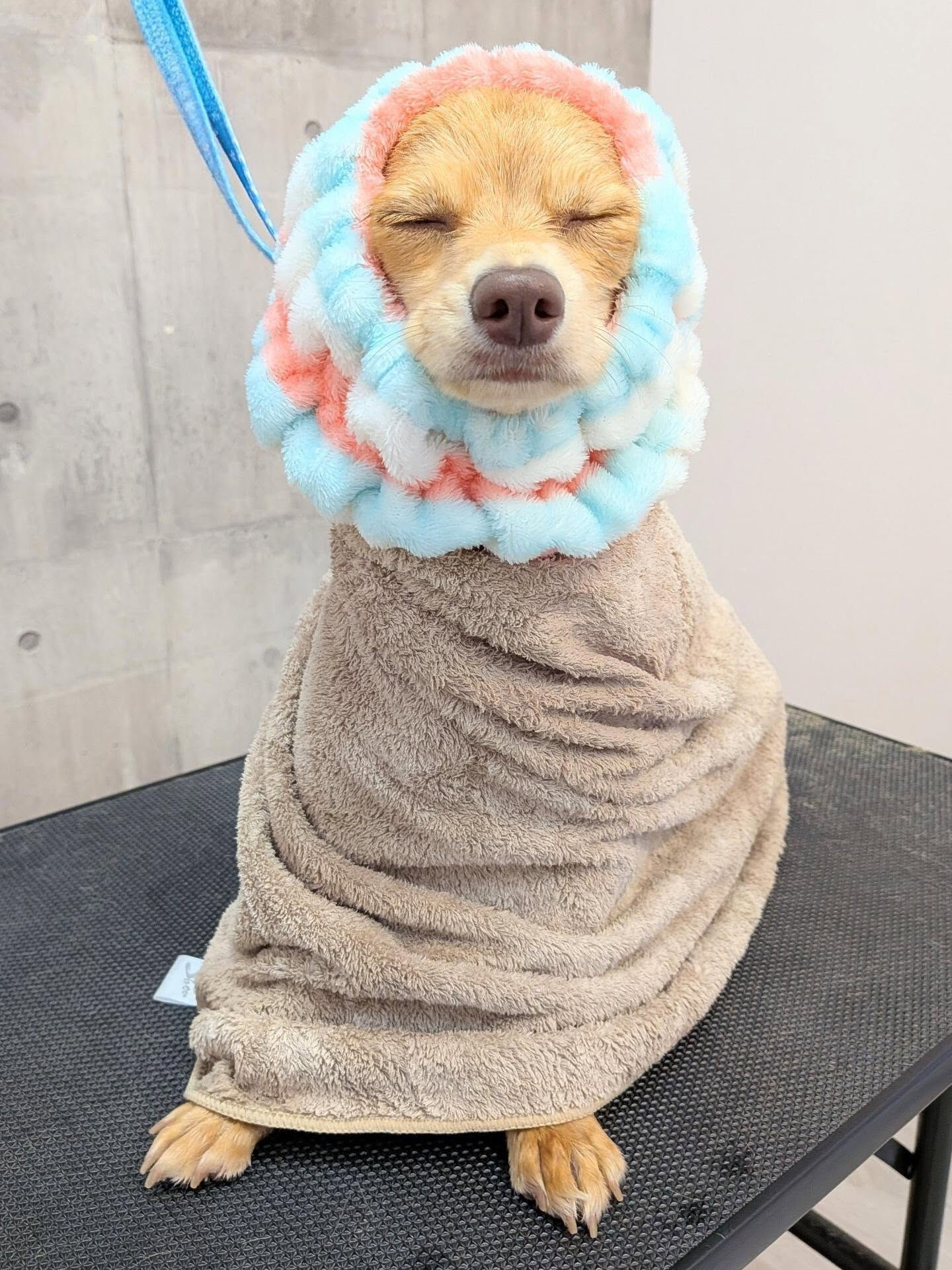 - ̗̀ ご来店ありがとうございます ̖́-