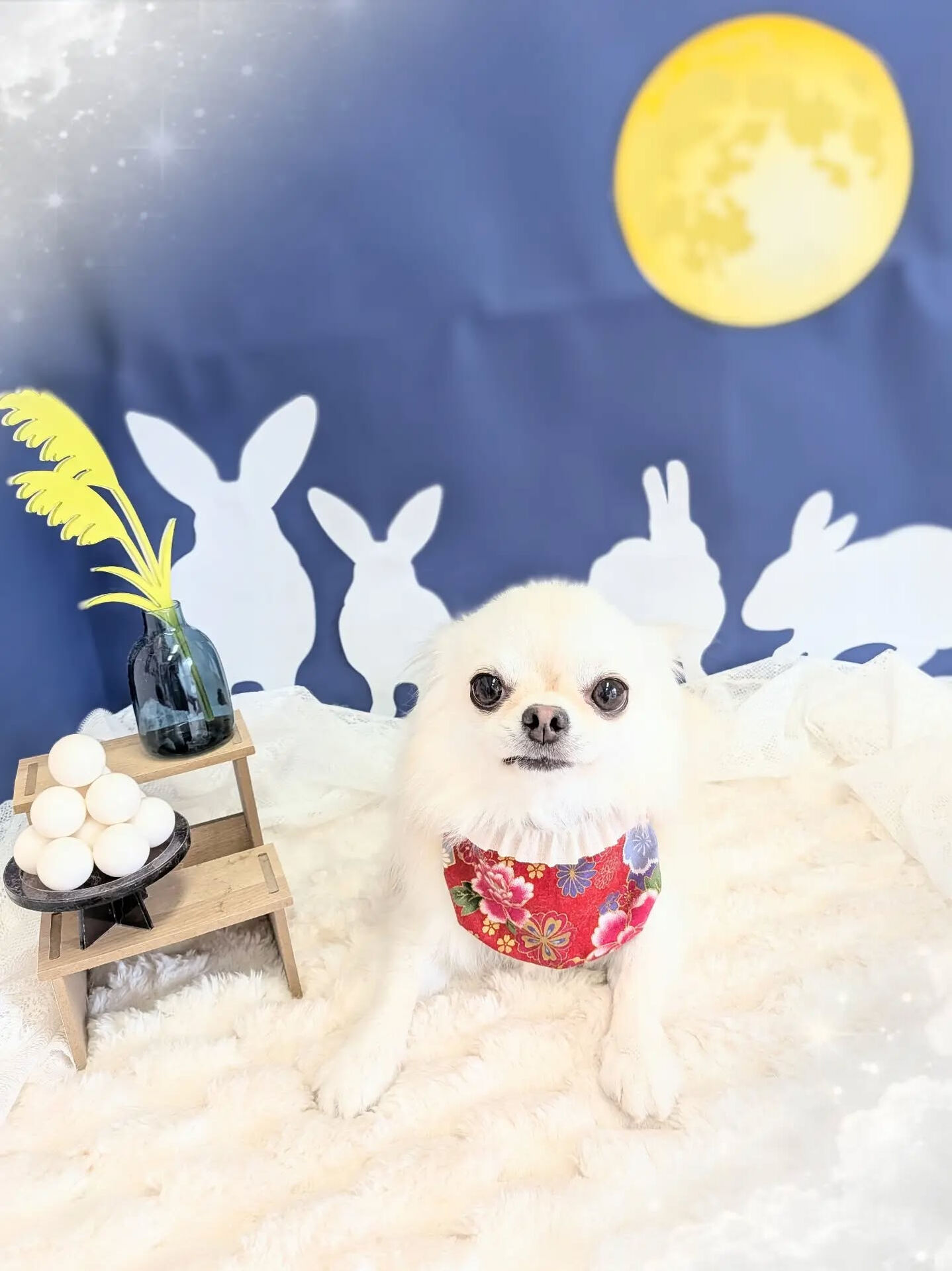- ̗̀ ご来店ありがとうございます ̖́-