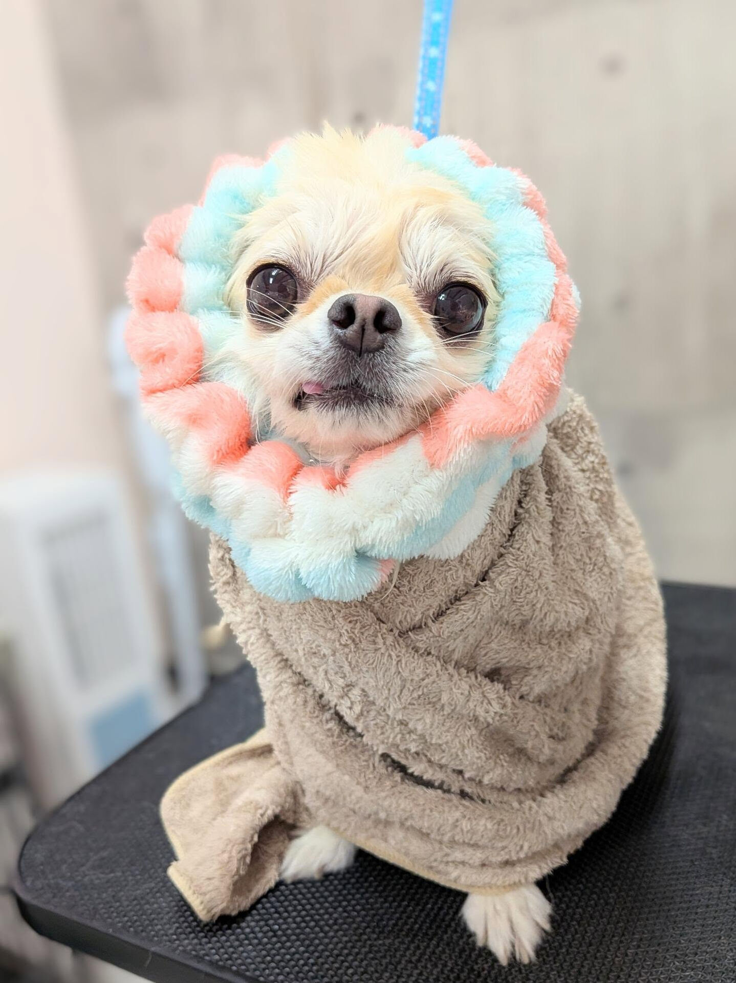 - ̗̀ ご来店ありがとうございます ̖́-
