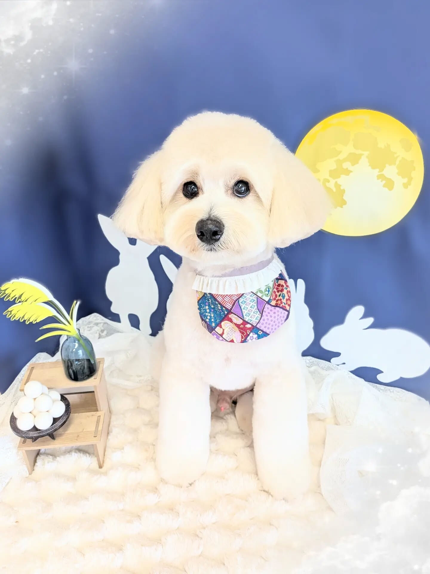 - ̗̀ ご来店ありがとうございます ̖́-