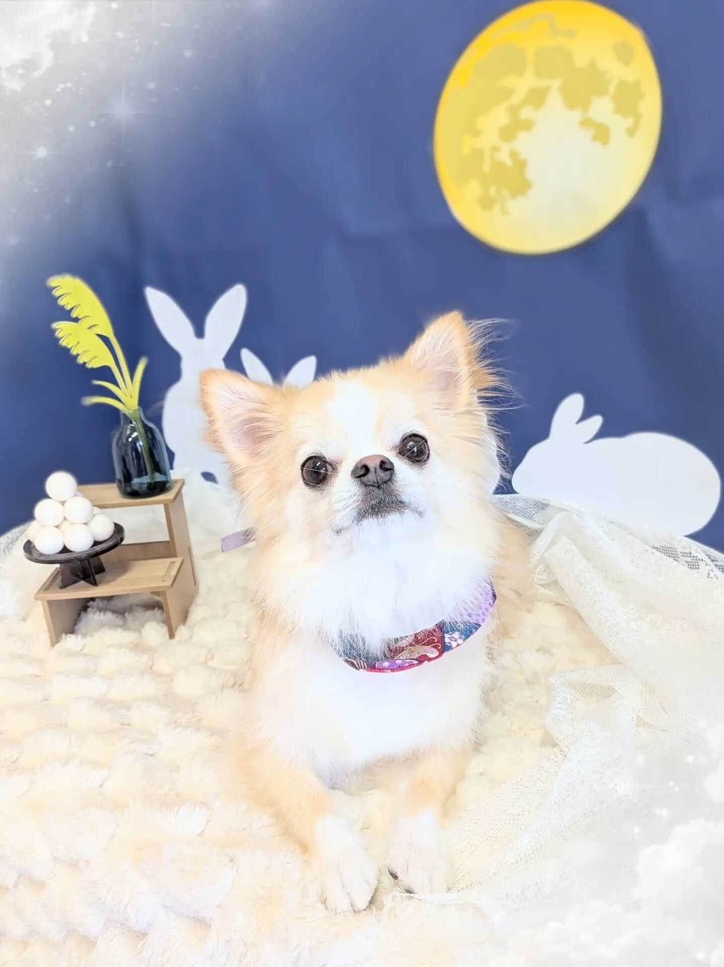 - ̗̀ ご来店ありがとうございます ̖́-
