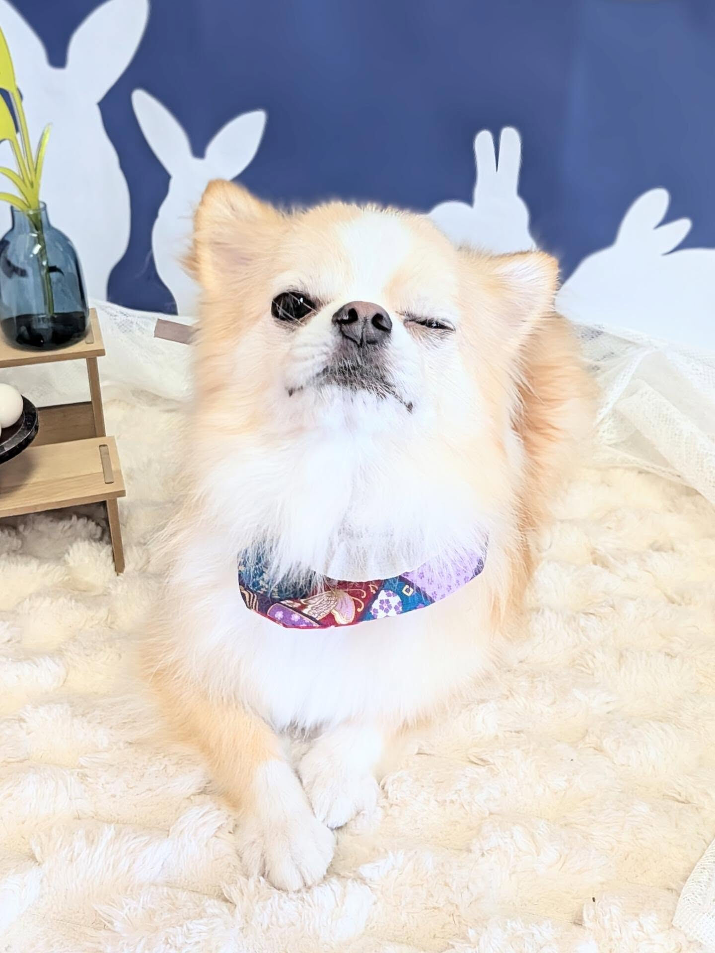 - ̗̀ ご来店ありがとうございます ̖́-