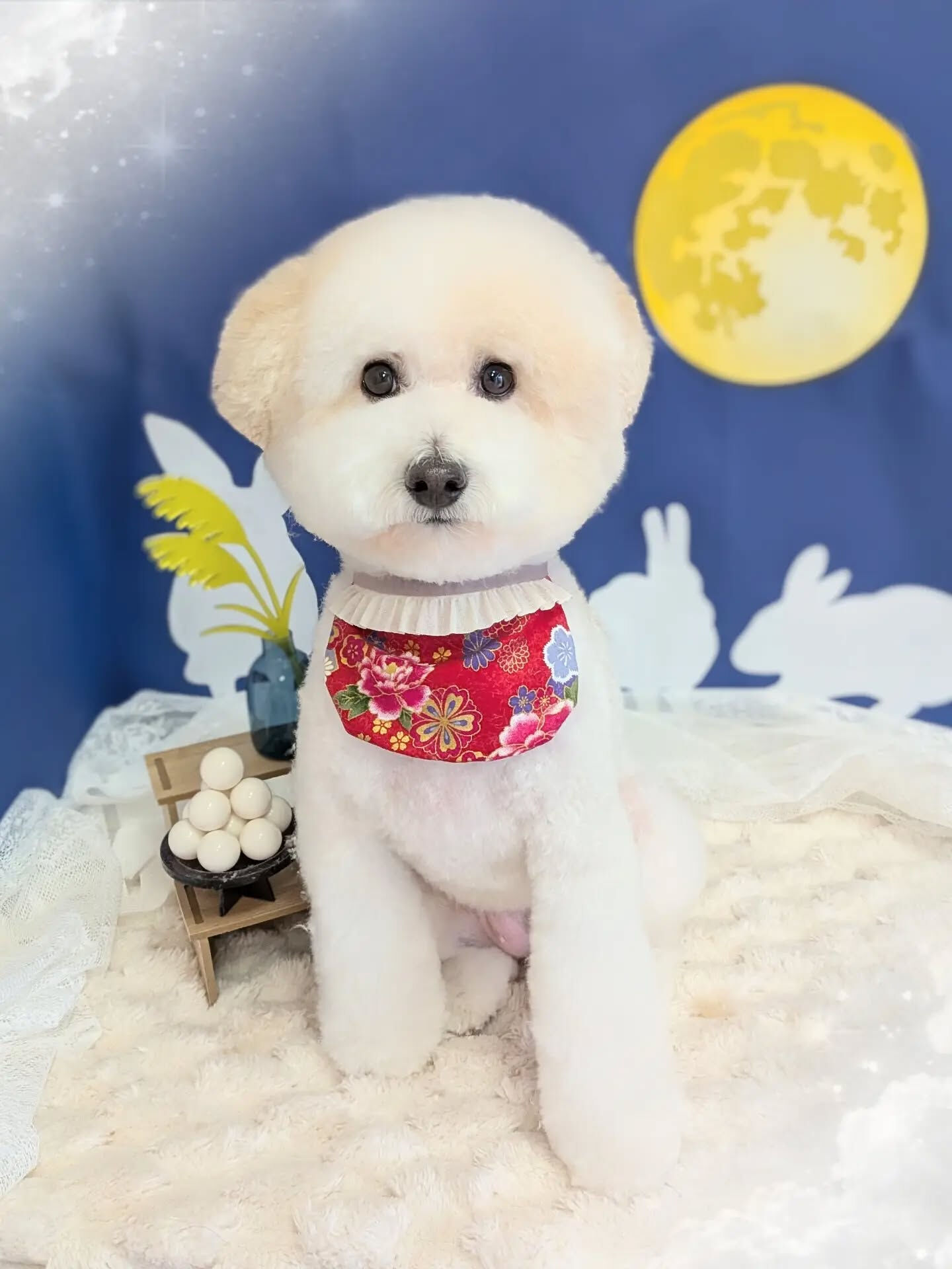 - ̗̀ ご来店ありがとうございます ̖́-