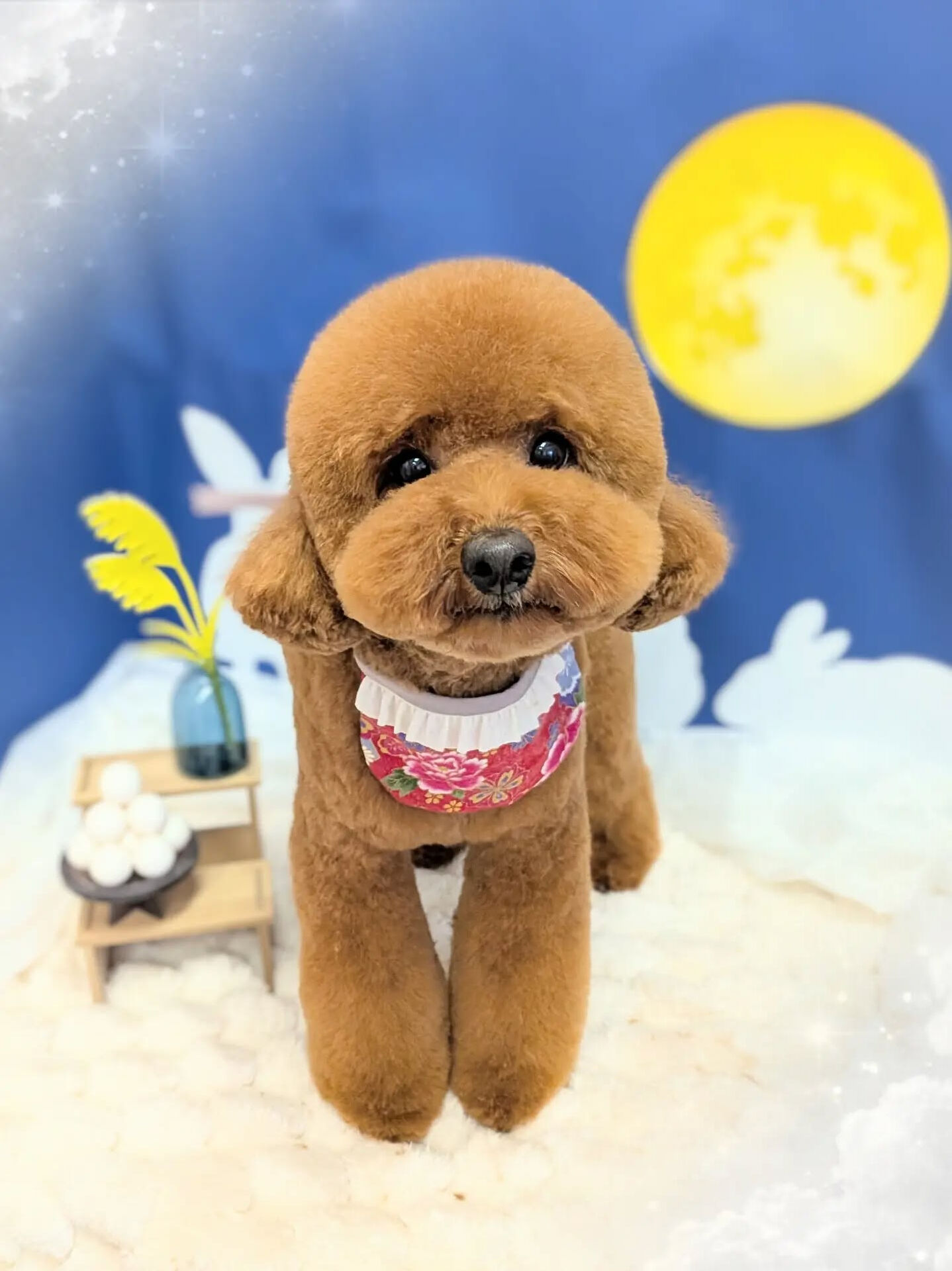- ̗̀ ご来店ありがとうございます ̖́-
