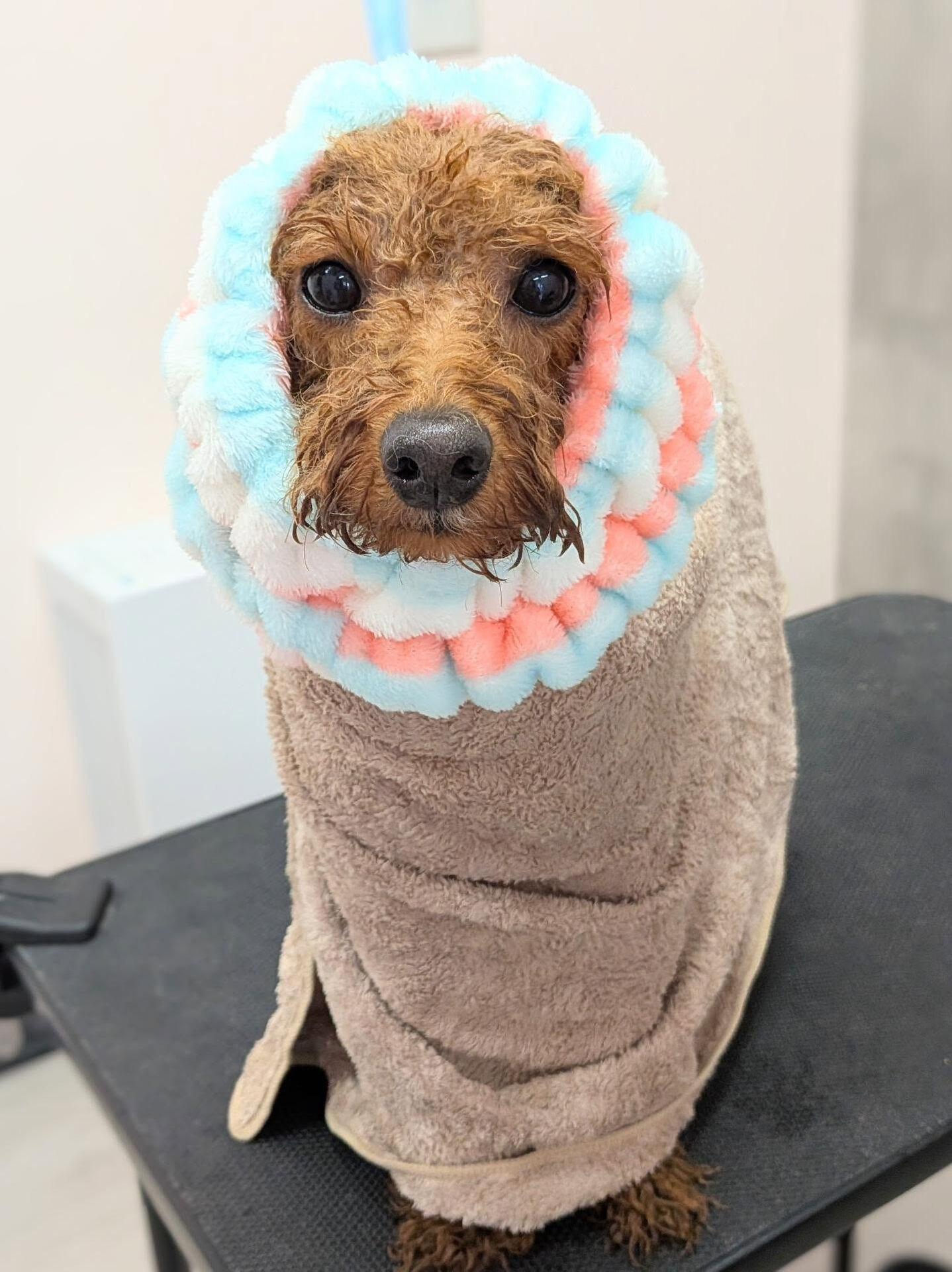 - ̗̀ ご来店ありがとうございます ̖́-