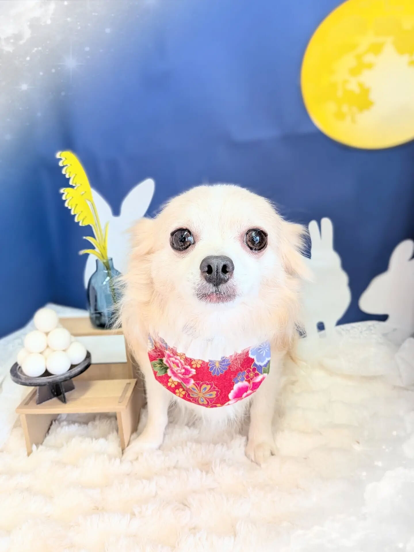 - ̗̀ ご来店ありがとうございます ̖́-