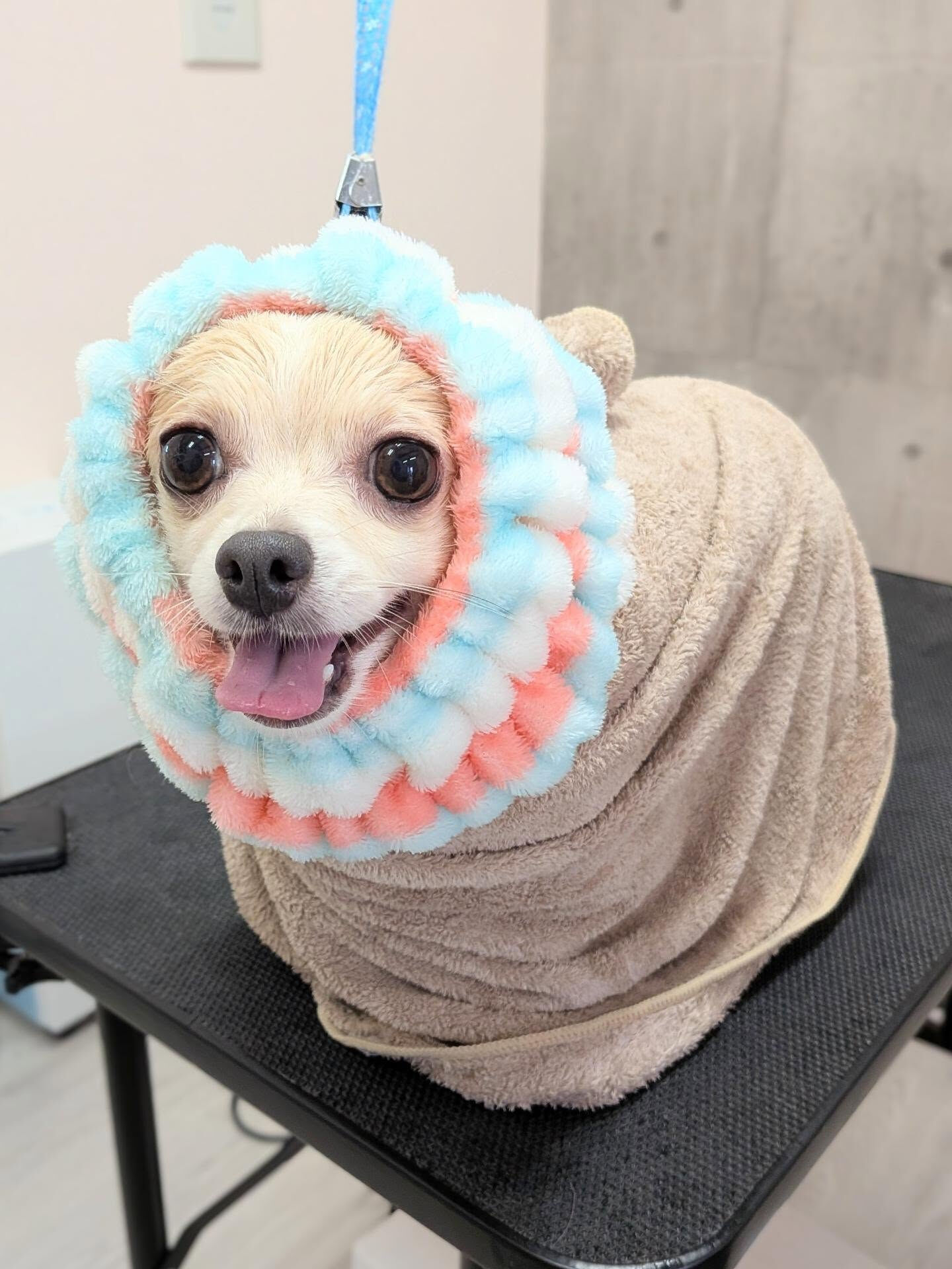 - ̗̀ ご来店ありがとうございます ̖́-