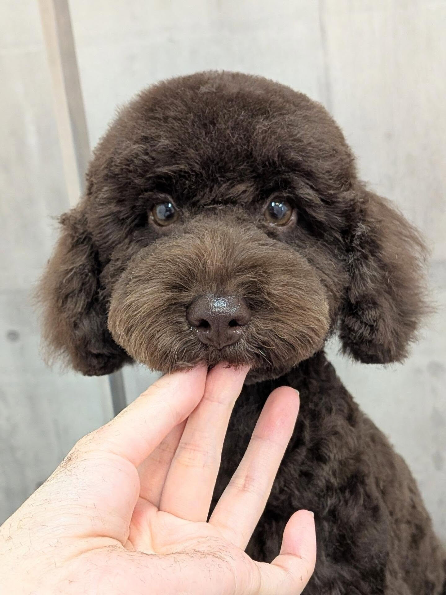- ̗̀ ご来店ありがとうございます ̖́-