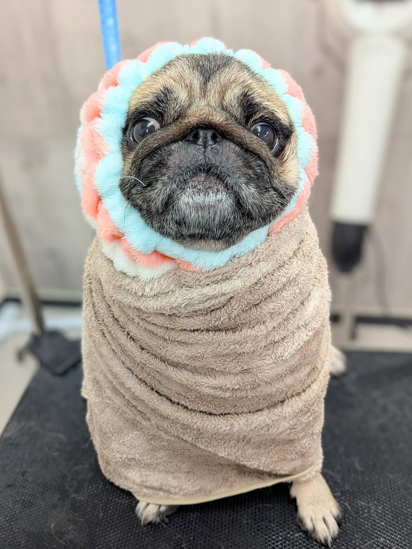- ̗̀ ご来店ありがとうございます ̖́-