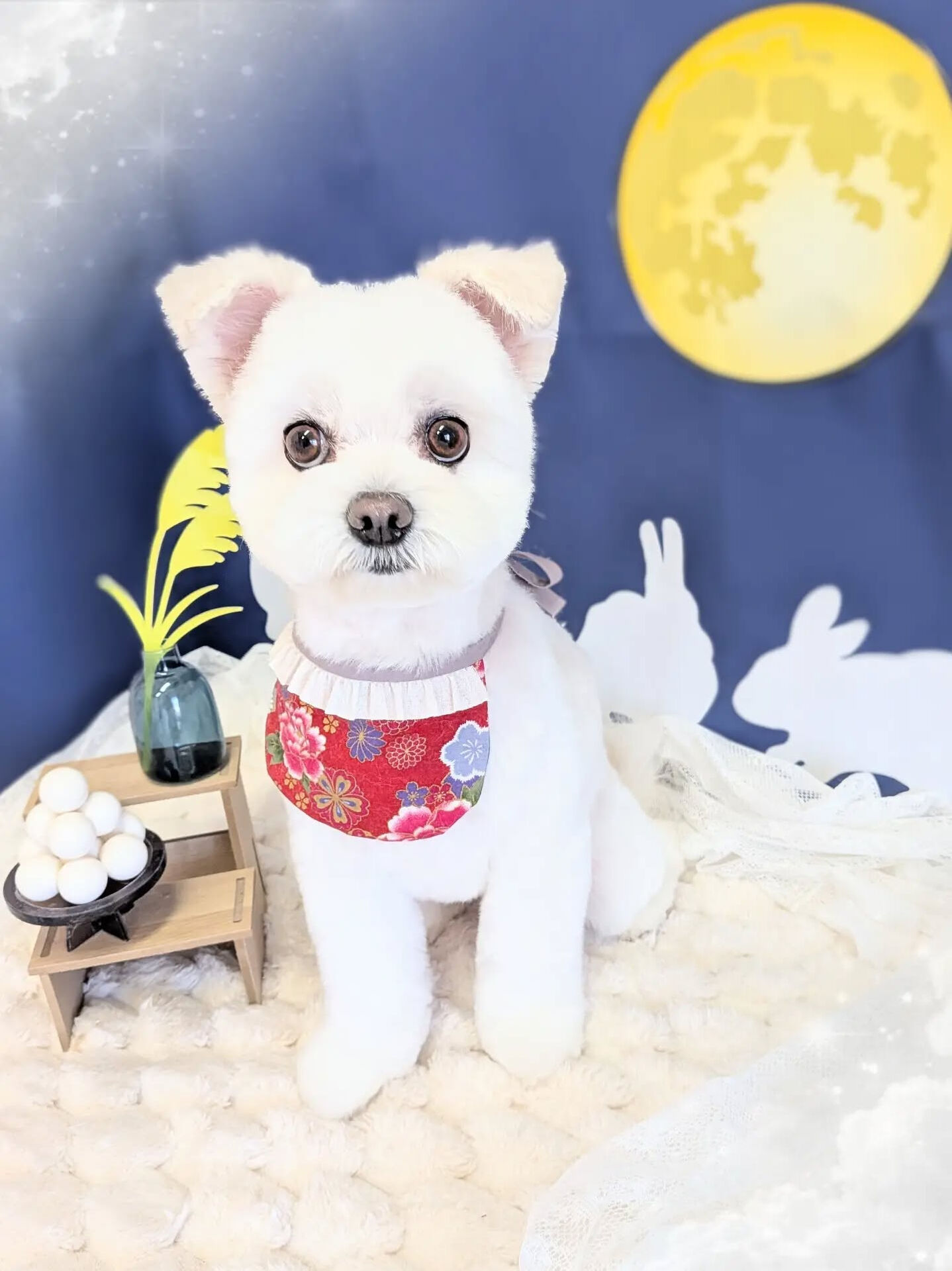 - ̗̀ ご来店ありがとうございます ̖́-