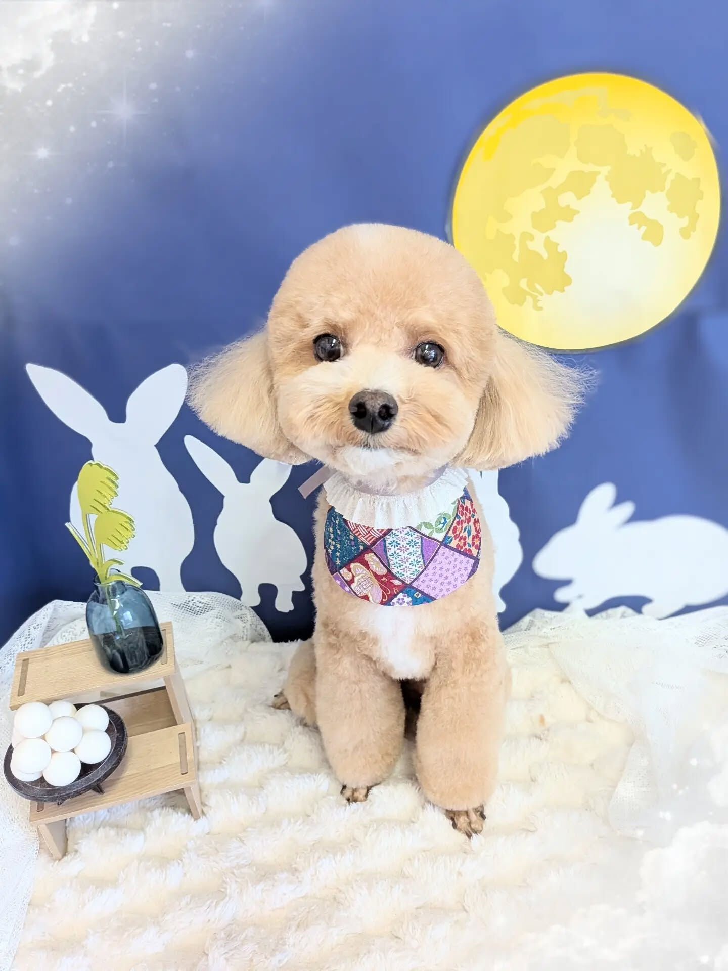 - ̗̀ ご来店ありがとうございます ̖́-
