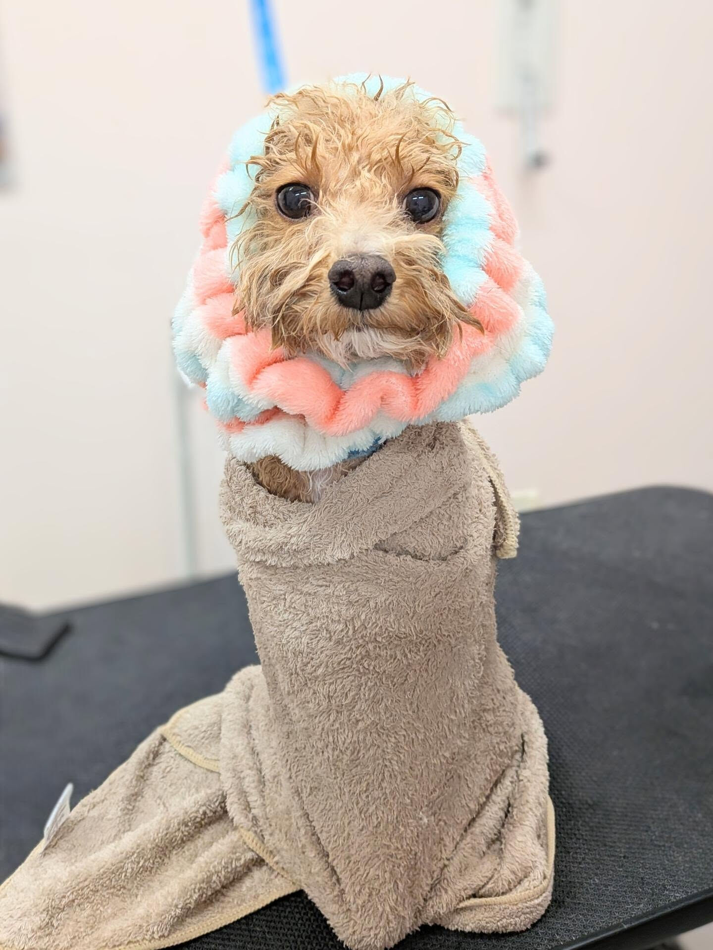 - ̗̀ ご来店ありがとうございます ̖́-